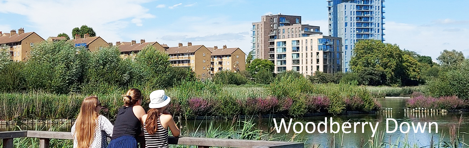 Woodberry Down London N4 area guide